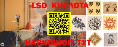 твердый Кудрово